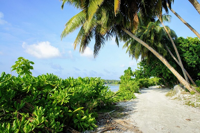 Palm Beach County Rehab Options: Comprehensive Guide to Mental Health and Addiction Treatment