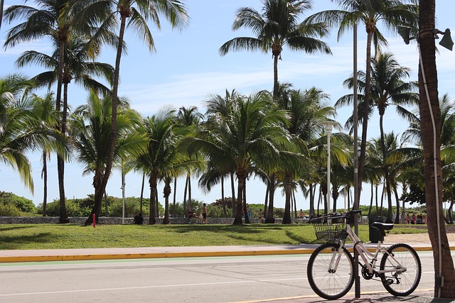 palm beach county rehab