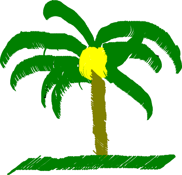 Addiction Treatment Palm Beach: Navigating Resources for Mental Health Recovery