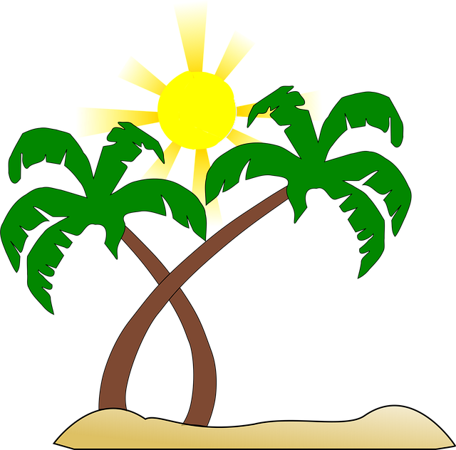 palm beach county rehab
