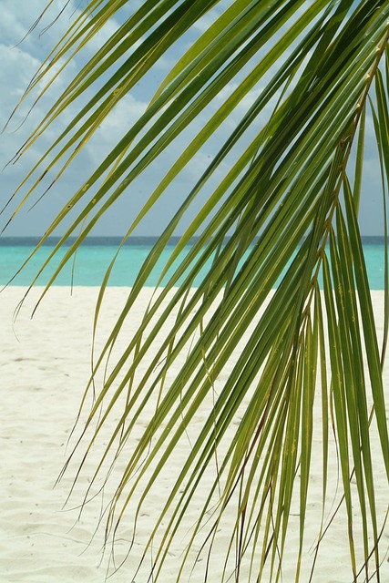 palm beach county rehab