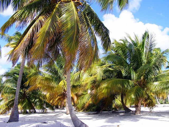 Addiction Treatment Palm Beach: A Comprehensive Guide to Mental Health Resources