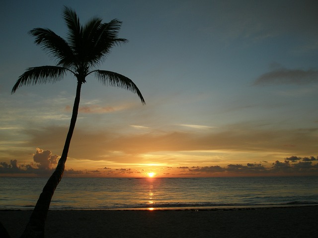 palm beach county rehab