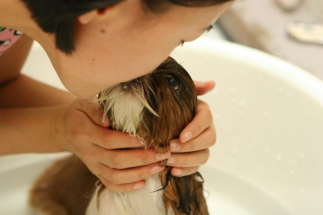 Luxury Aftercare Programs: Relapse Prevention & Premium Continuing Care