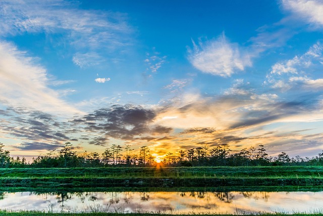 Board-Certified Psychiatrists in South Florida: Expert Mental Health Care