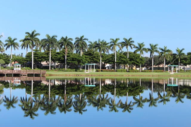 Expert Psychiatric Care South Florida: Unlocking Mental Wellness with Board-Certified Psychiatrists