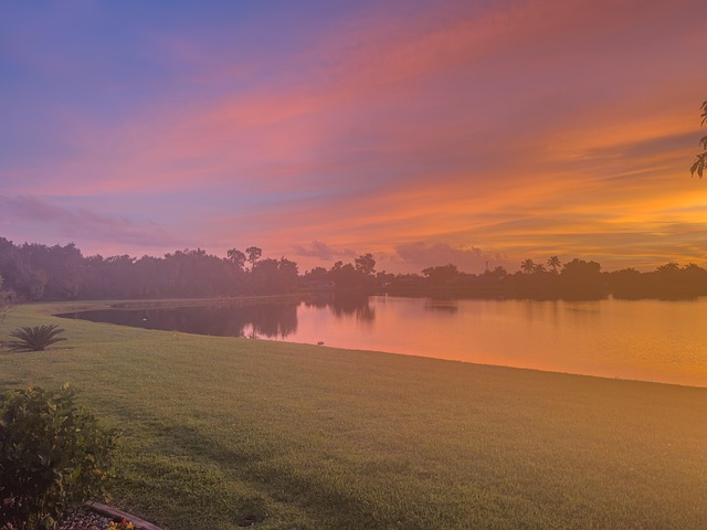 ptsd treatment florida
