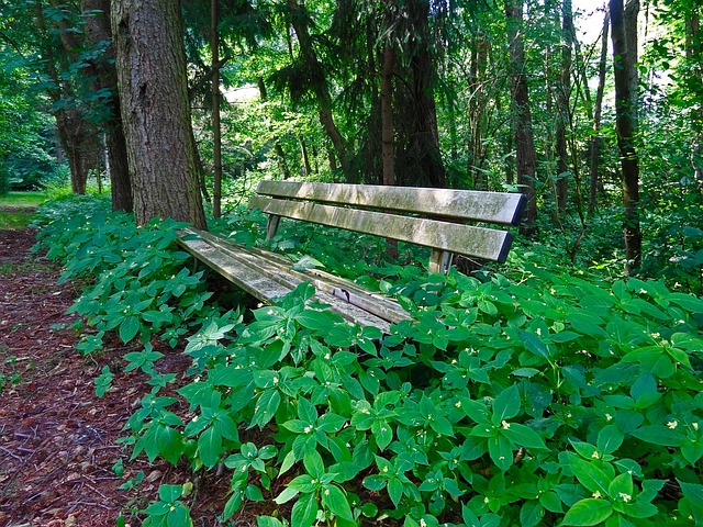 Sober Fun & Growth: Resources for Nashua, NH