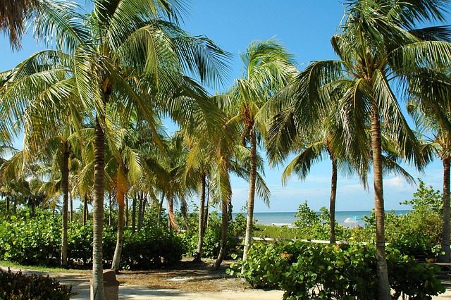 rehab-west-palm-beach-640x480-78667237.jpeg