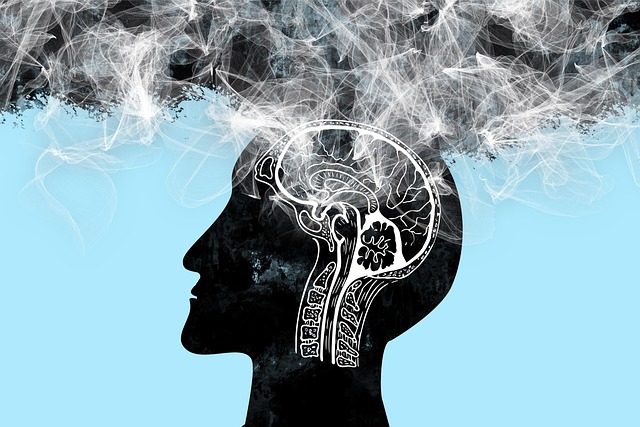 senior mental health florida