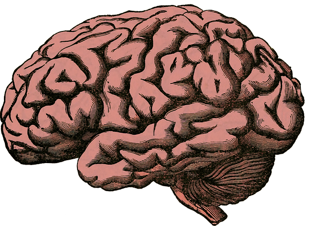 teen mental health florida