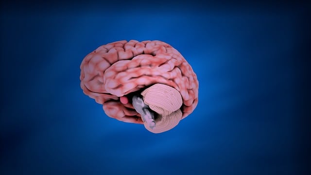 teen mental health florida