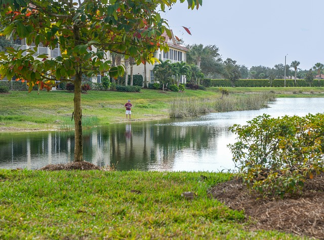 telehealth therapy florida
