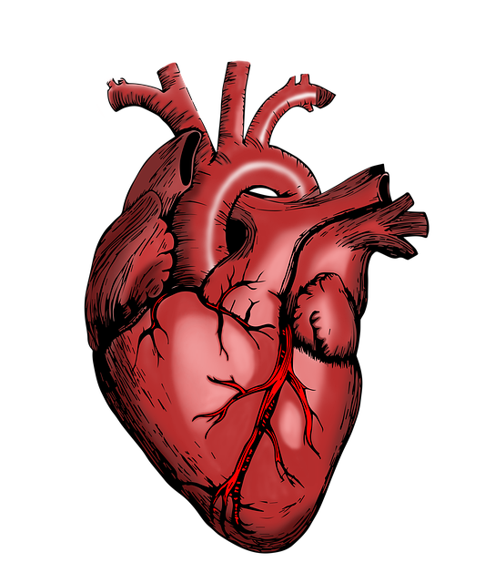 wellington-behavioral-health-640x480-8993460.png