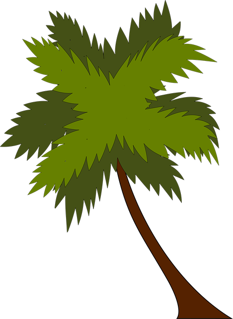 west palm beach addiction