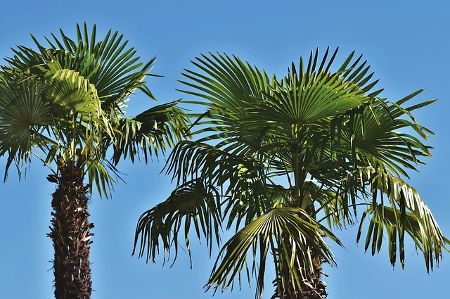 west palm beach addiction
