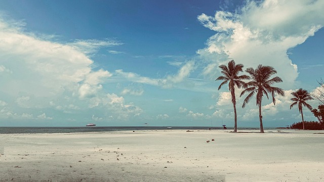 west palm beach addiction