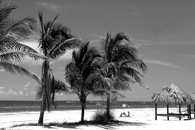 west palm beach addiction