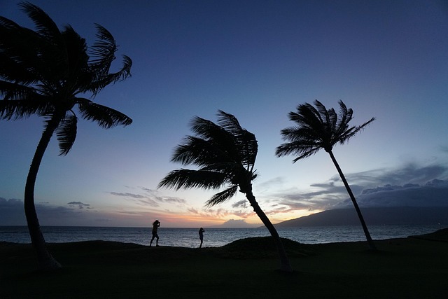 Rehab West Palm Beach: Comprehensive Mental Health Integration for Sustained Recovery