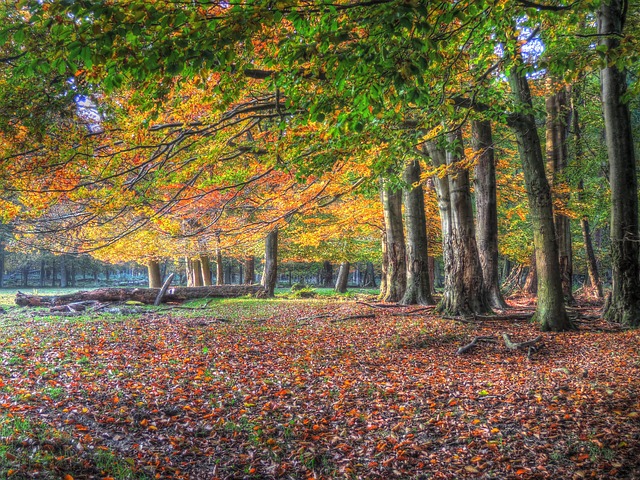 Sober Fun: Nashua NH’s Parks, History & Local Cuisine