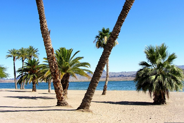 addiction treatment palm beach