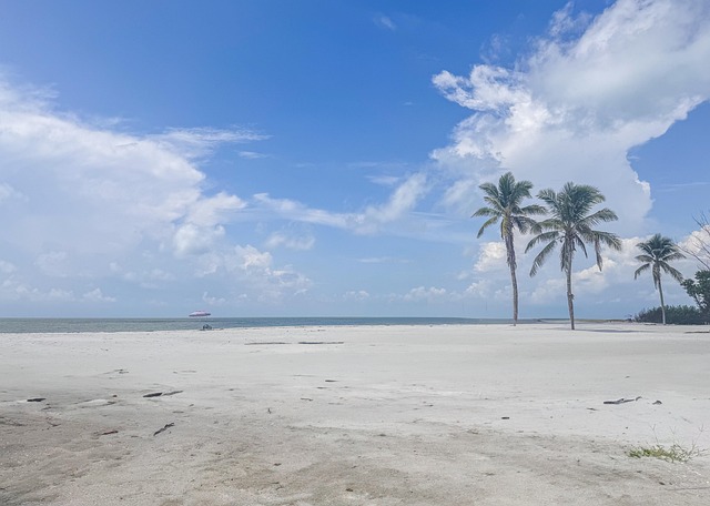 addiction treatment palm beach