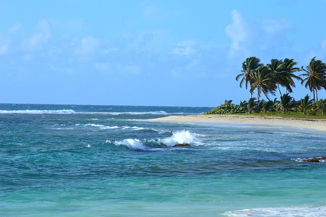 Addiction Treatment Palm Beach: A Comprehensive Guide to Mental Health Resources