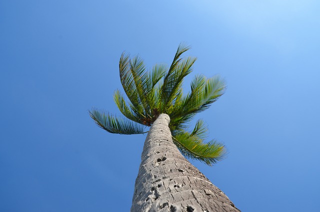 Palm Beach County Rehab: Comprehensive Resources for Mental Health and Addiction Recovery