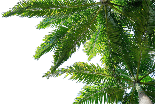 addiction treatment palm beach