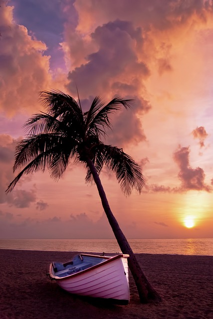 addiction treatment palm beach