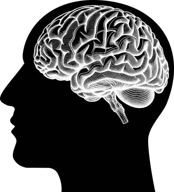 boca raton mental health