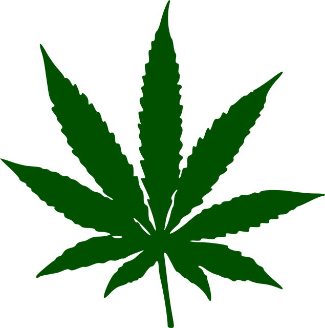 Drug Rehab Indiana