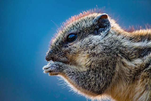 eating disorder treatment florida