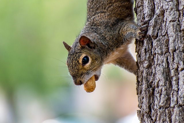 eating disorder treatment florida