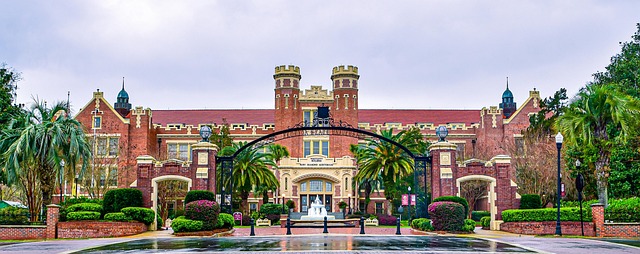 Family Therapy Florida: Empowering Recovery Through Supportive Approaches