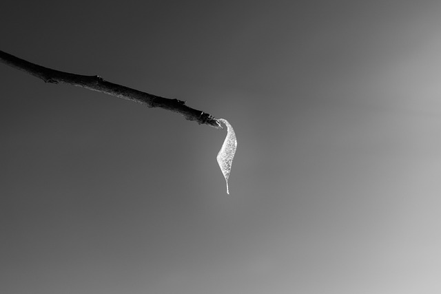 Family Recovery and Substance Use Disorder