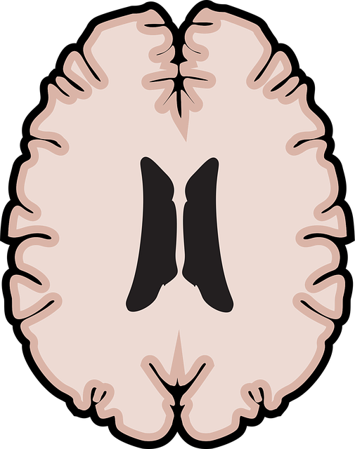 Family Recovery Mental Health