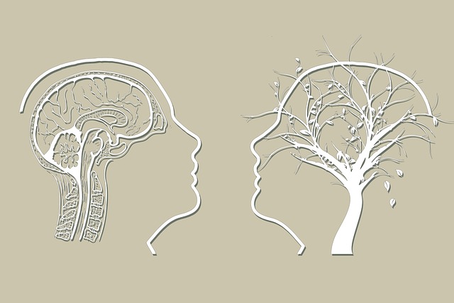 Family Recovery Mental Health