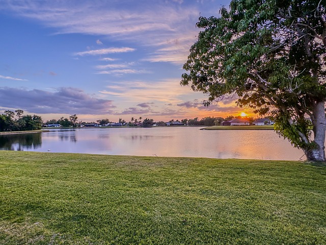 South Florida’s Therapeutic Groups: Holistic Addiction & Mental Health Support