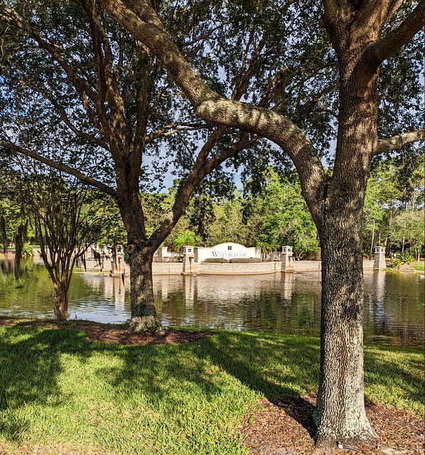 intensive outpatient program florida