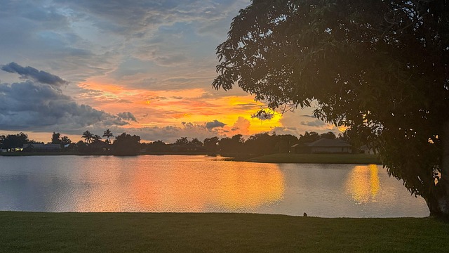 Intensive Outpatient Programs in Florida: Healing Minds, Transforming Lives