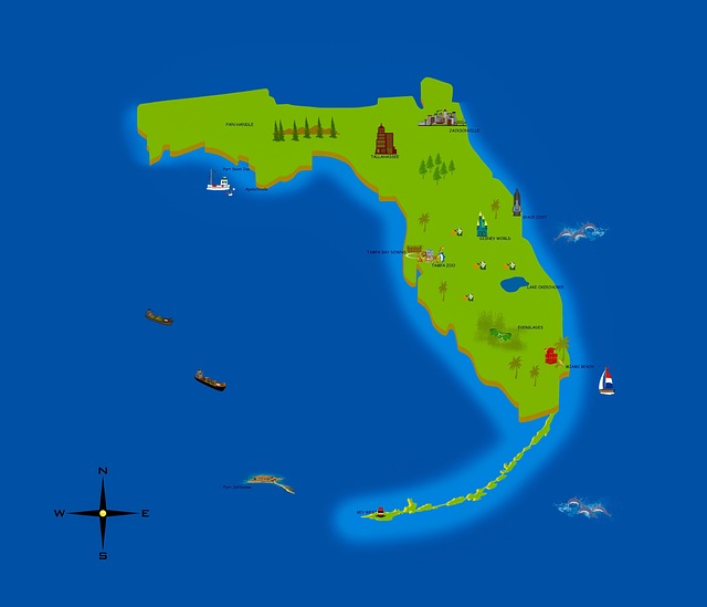 IOP south florida