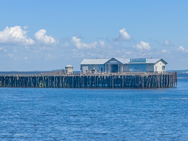 IOP south florida