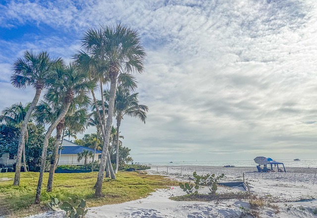 IOP south florida