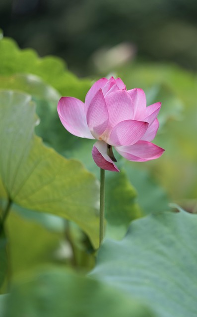 meditation