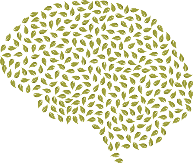 online mental health florida