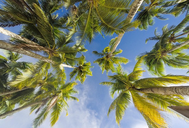 palm beach county rehab