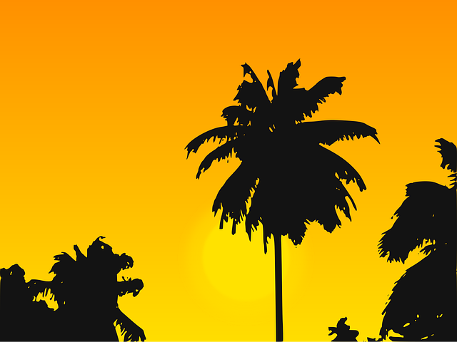 palm beach county rehab