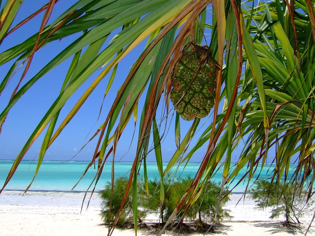 palm beach county rehab