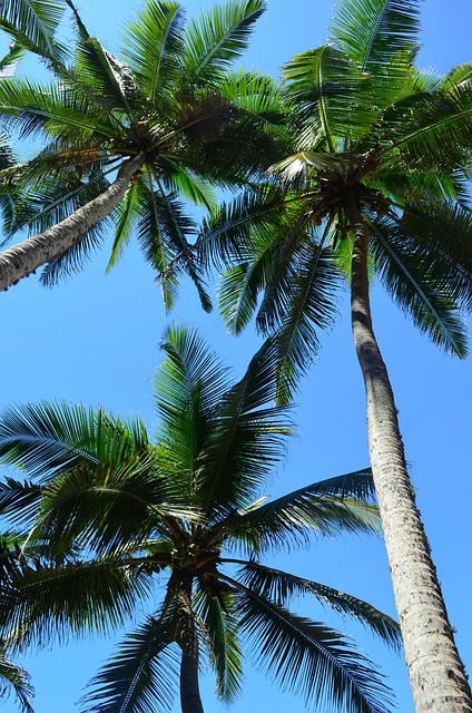 palm beach county rehab